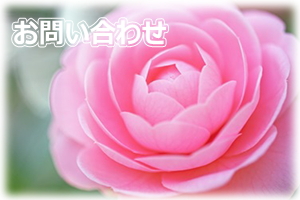 株式会社椿 問い合わせ